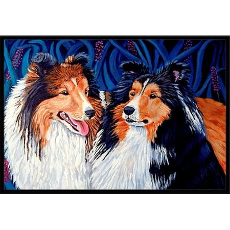 Carolines Treasures Carolines Treasures 7508JMAT 24 x 36 in. Sheltie Indoor Or Outdoor Doormat 7508JMAT